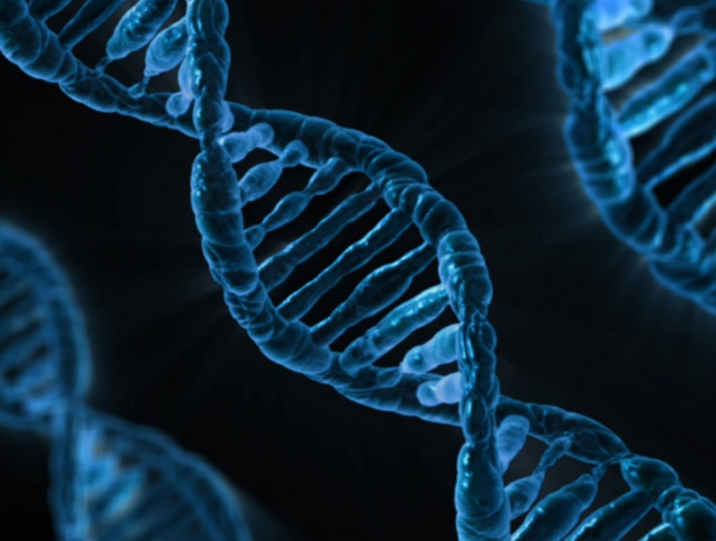 Genes, Determinism and God