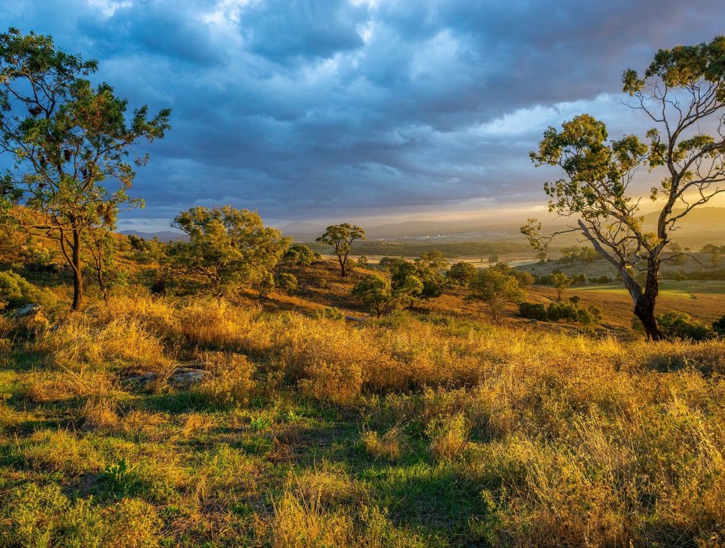 Laudato Si’: Three commendations and a criticism