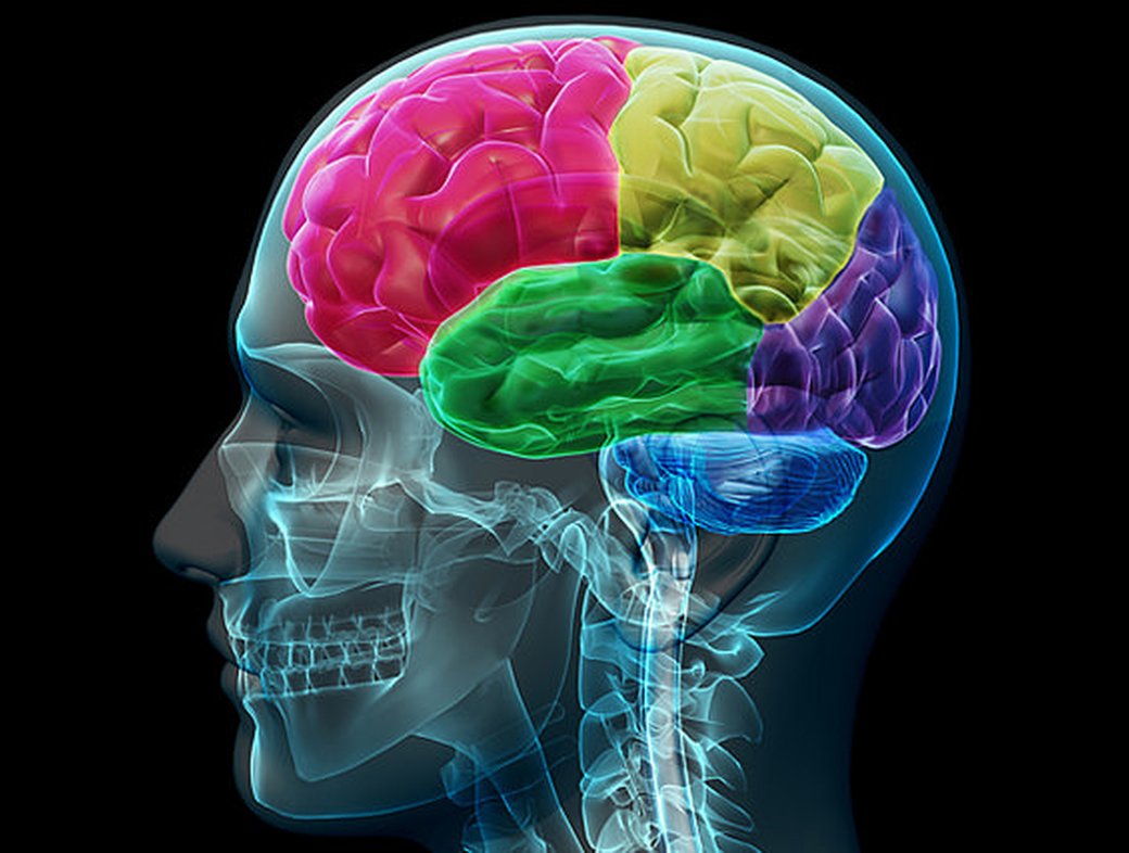 Iain McGilchrist: the Divided Brain and the Making of the Western World