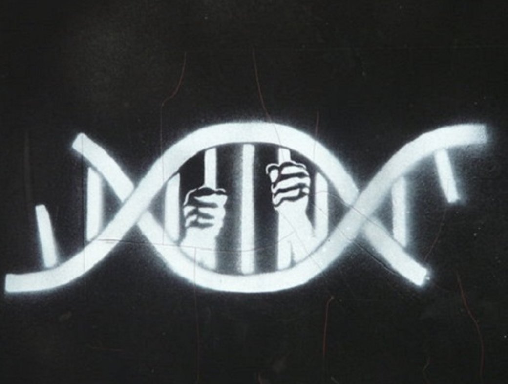 Genes, God & Determinism