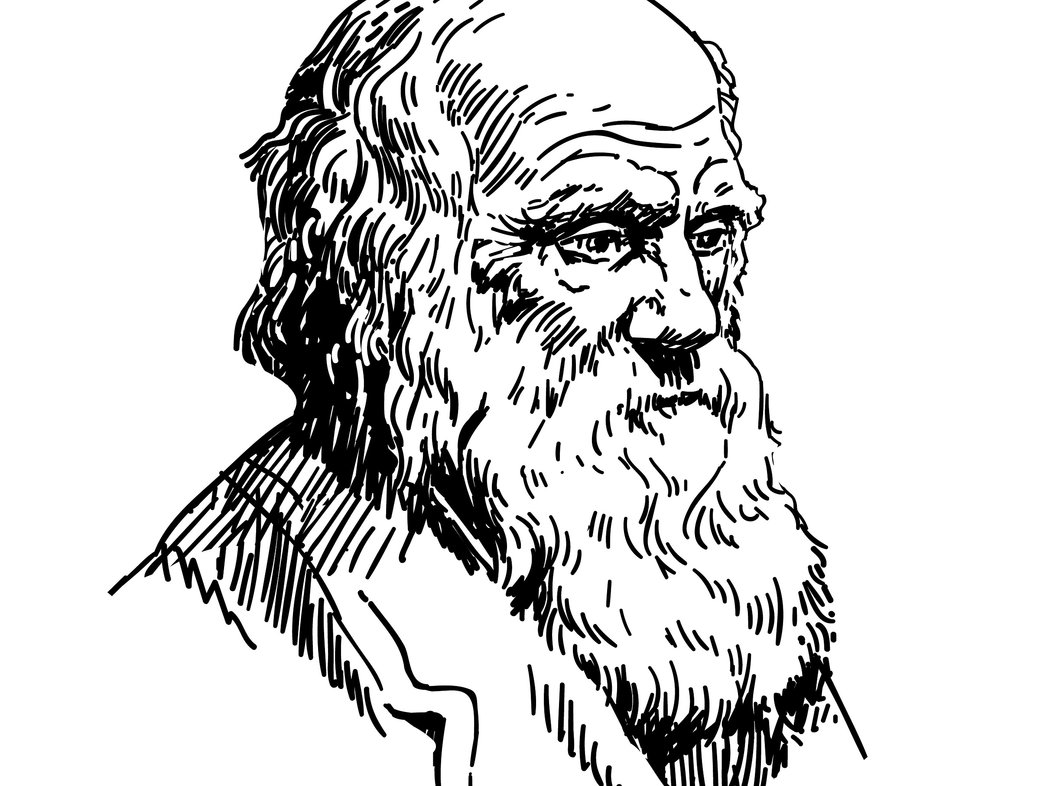 Disbelieving Darwin: the dangers of evolution opinion polls