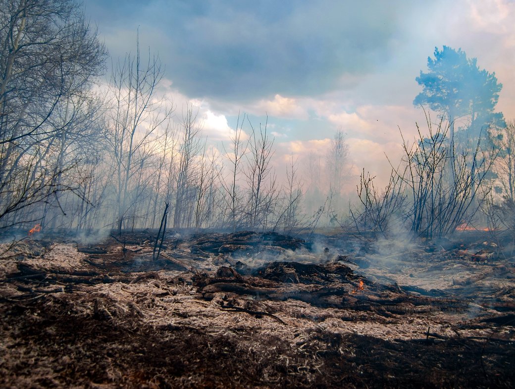 Reflections on COP26: What Does Theology Have to Offer the Conversation Around the Climate Crisis?