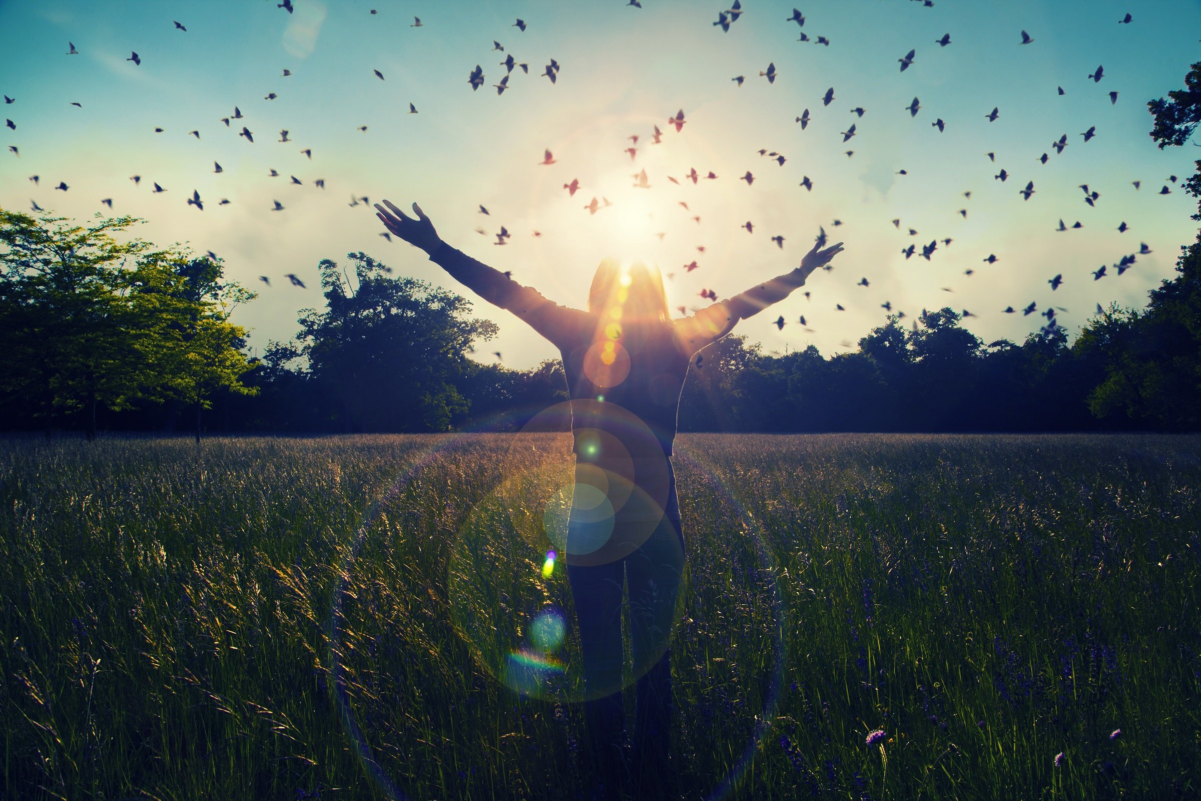 Religion and Well–being: Executive Summary