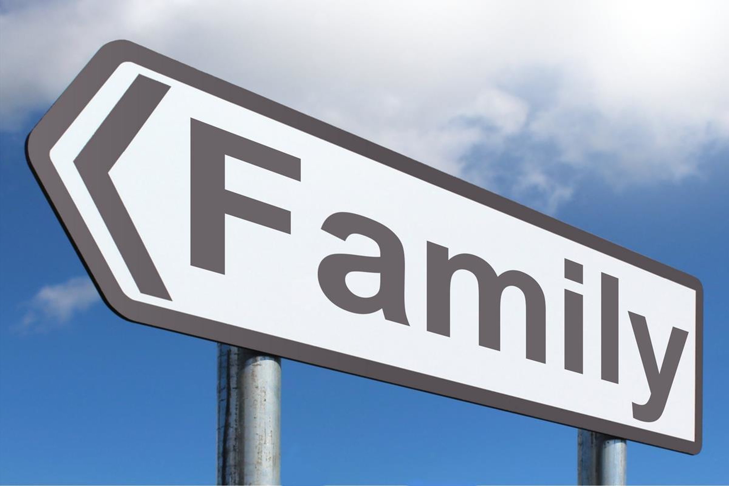 The Family, the State and the Common Good