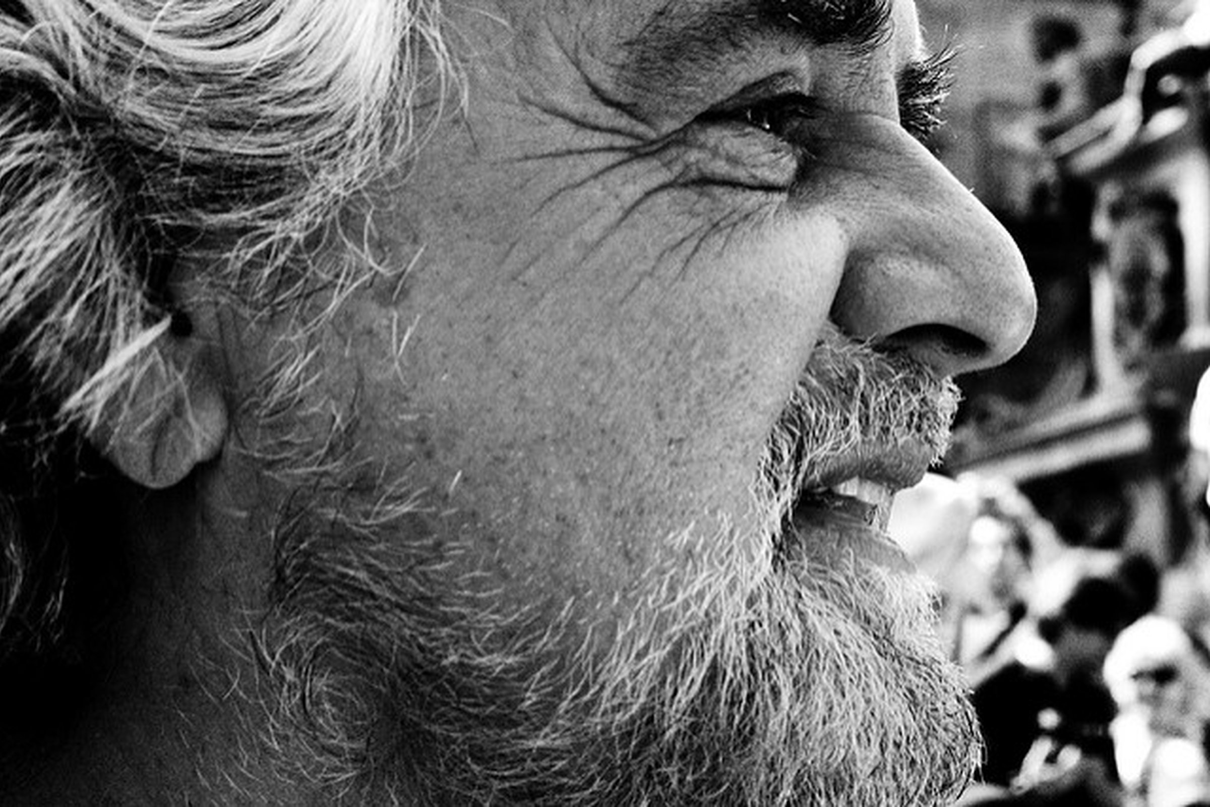 Black Mirror, Beppe Grillo and by-elections