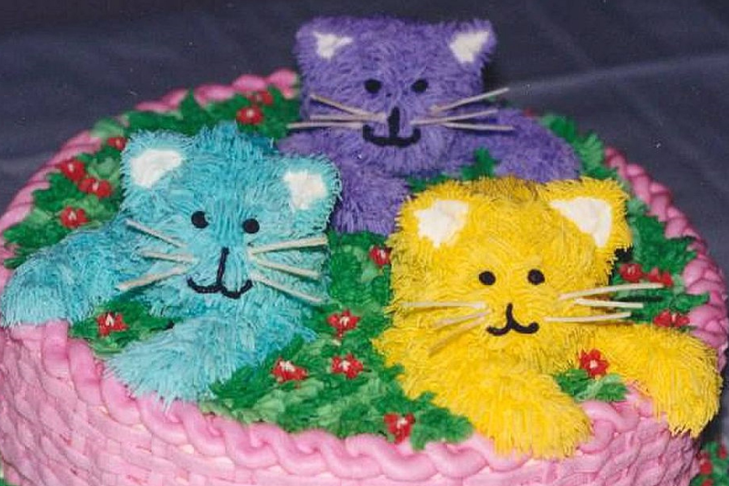 Storm in a Gay Cake Tin