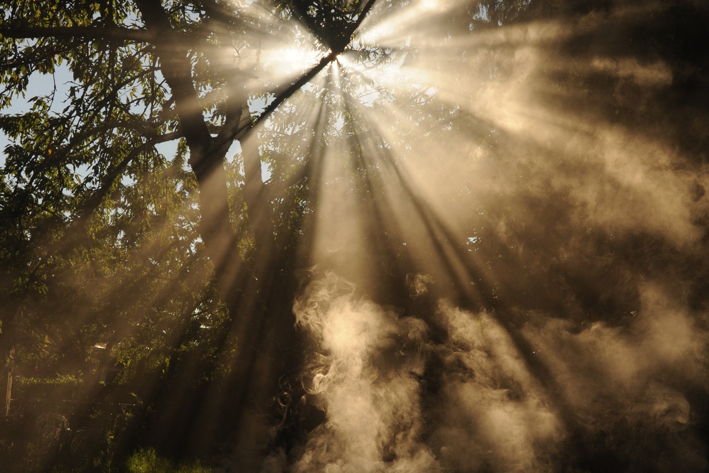 Reframing Mental Health: What the Psalms can teach us