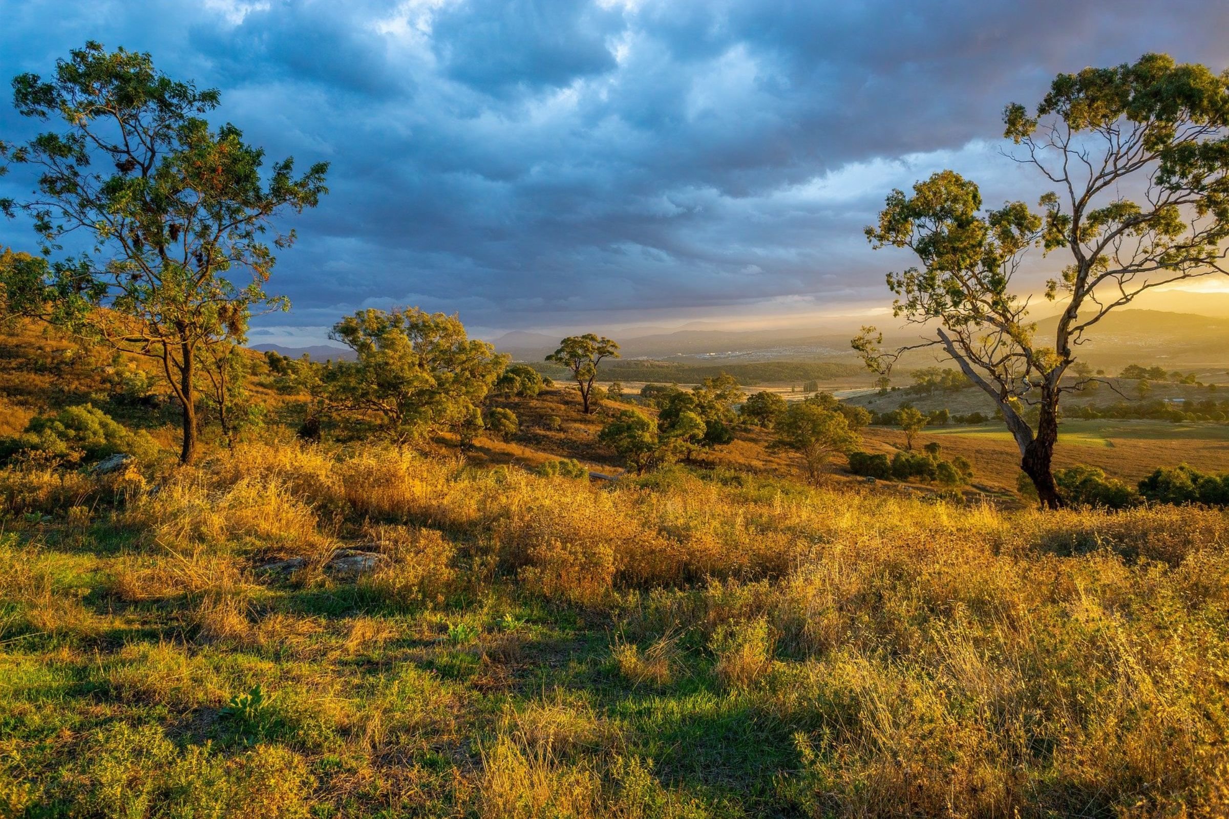 Laudato Si: wisdom shared across faith traditions