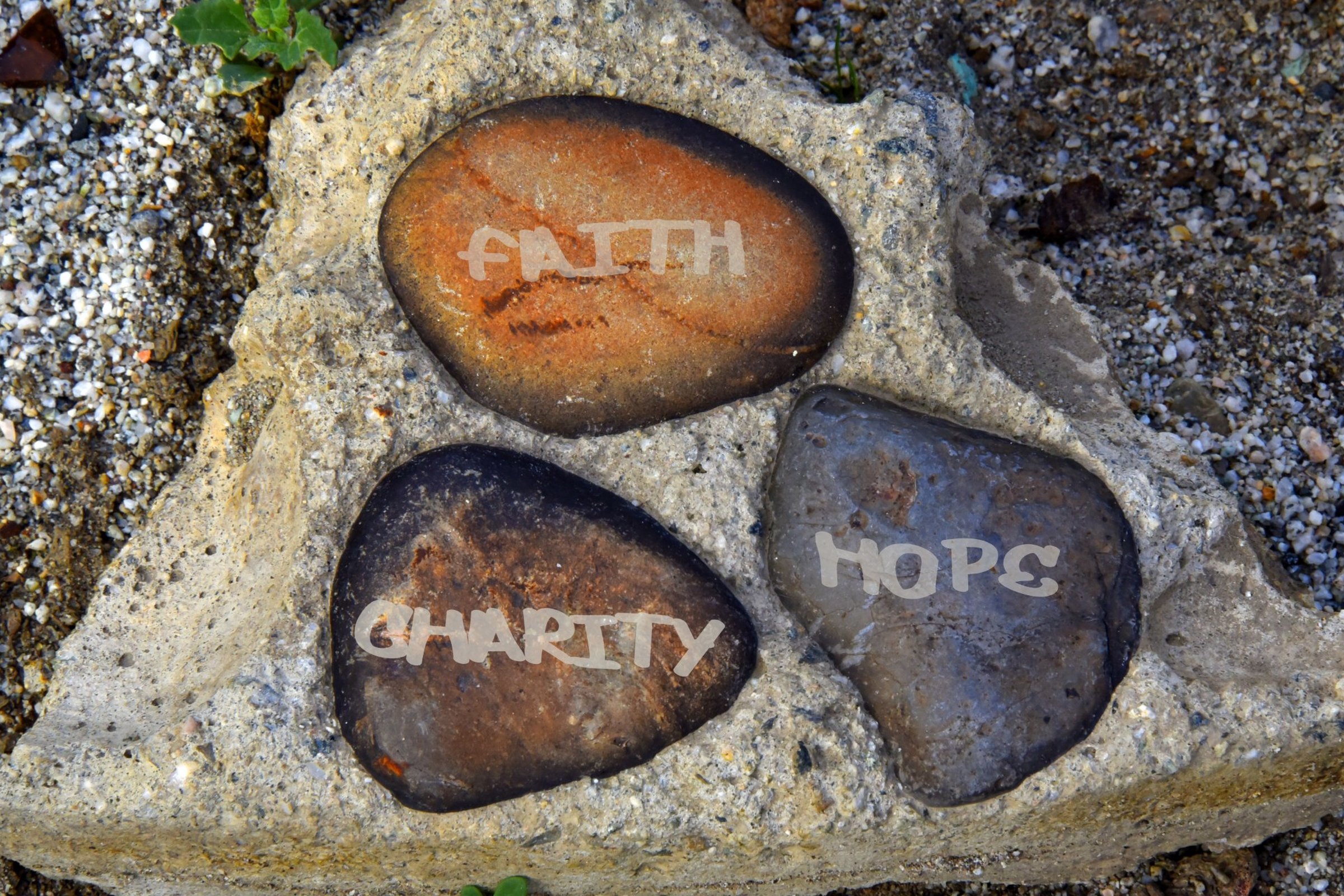 Social Science… and Social Action