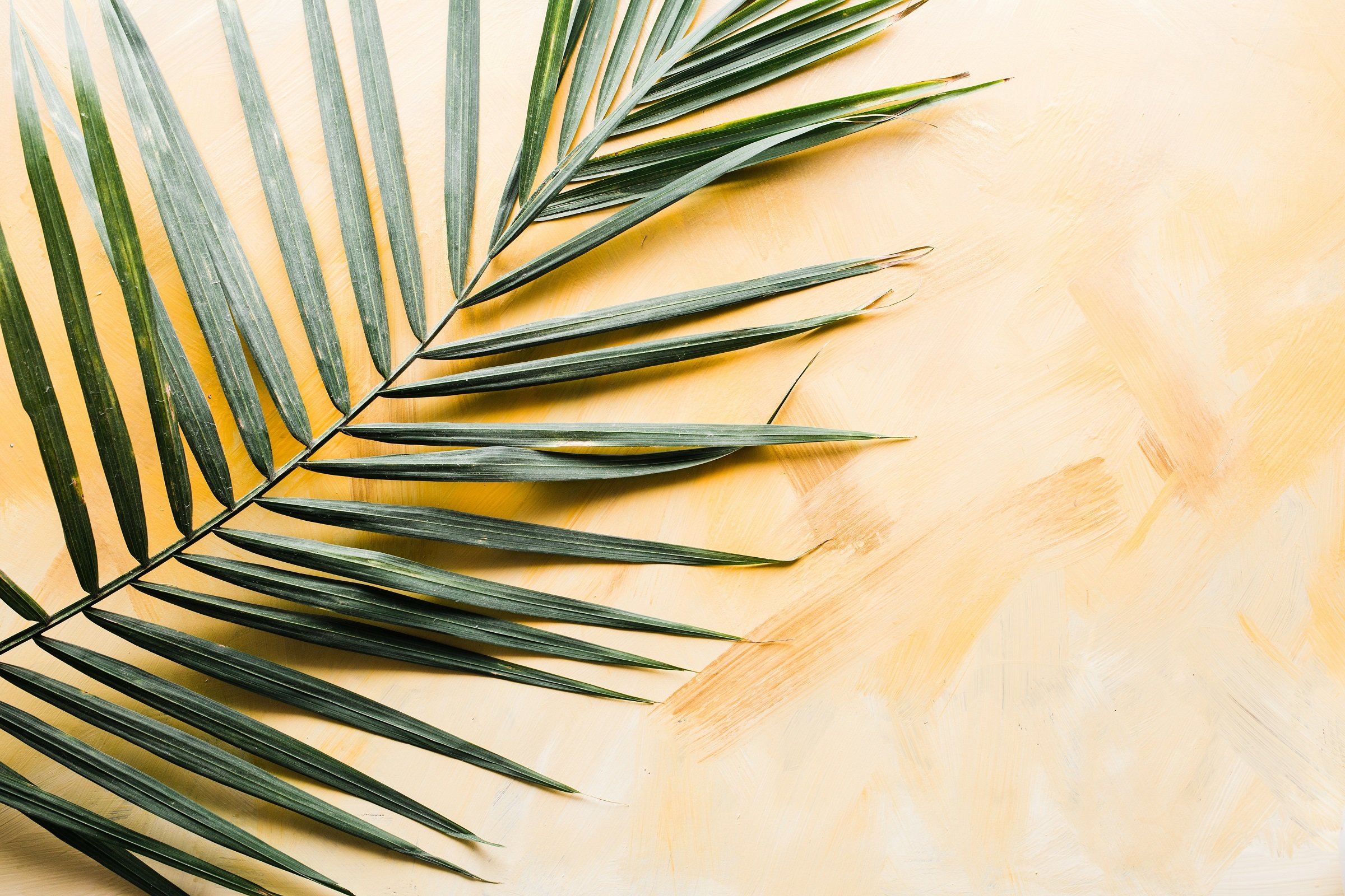 Easter Reflections from the Theos team