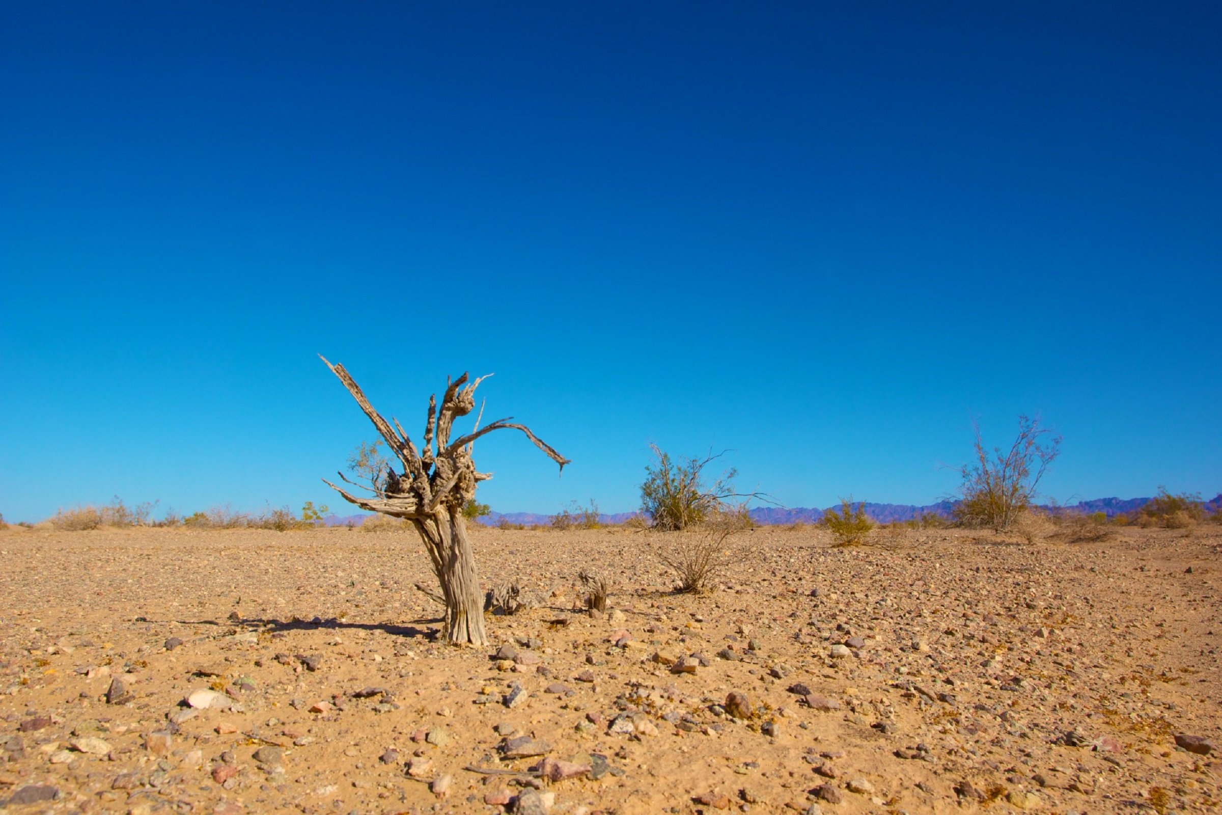  Apocalypse Soon: Rejecting Despair and Denial about Climate Change