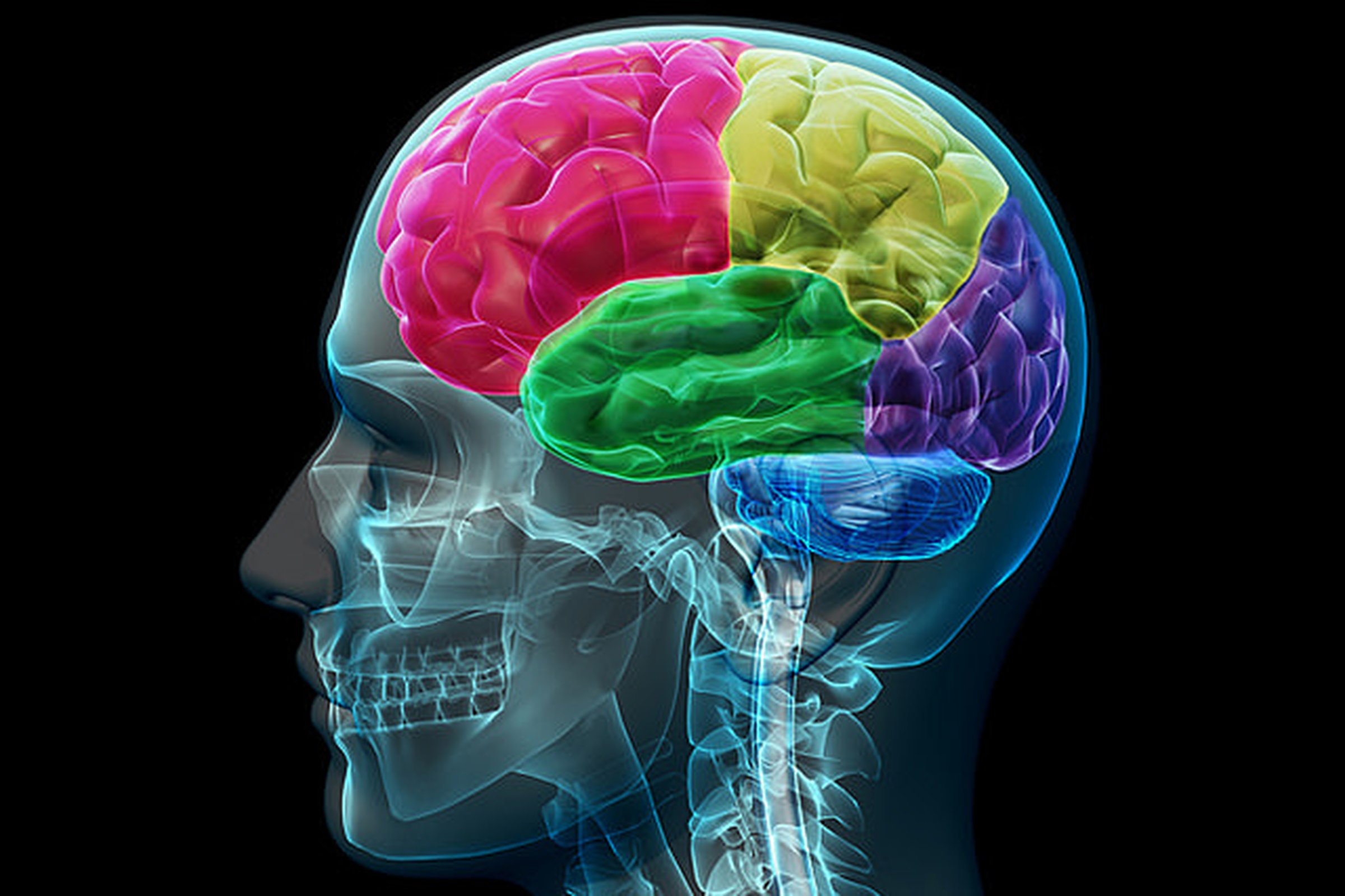 Iain McGilchrist: the Divided Brain and the Making of the Western World