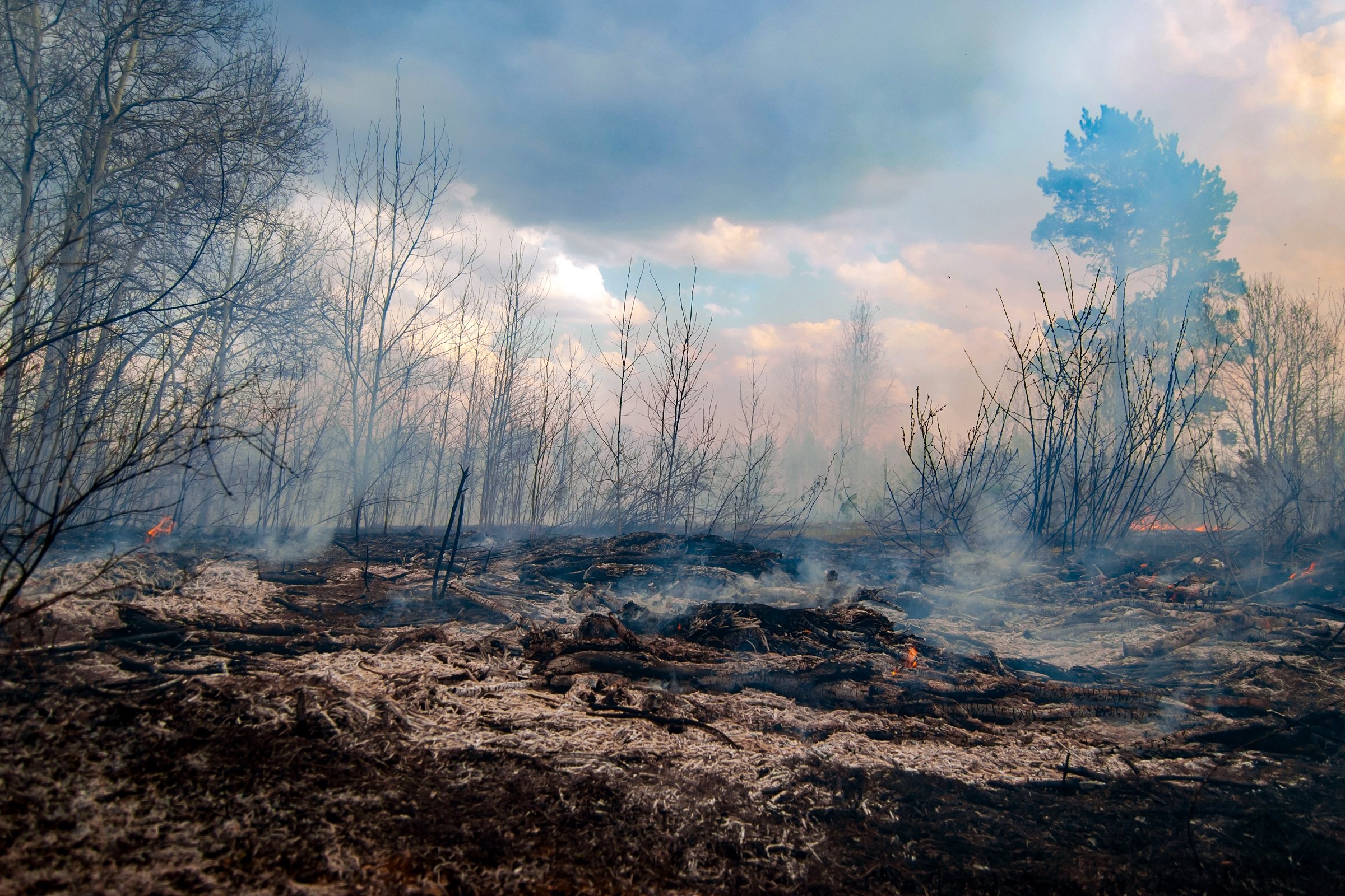 Reflections on COP26: What Does Theology Have to Offer the Conversation Around the Climate Crisis?