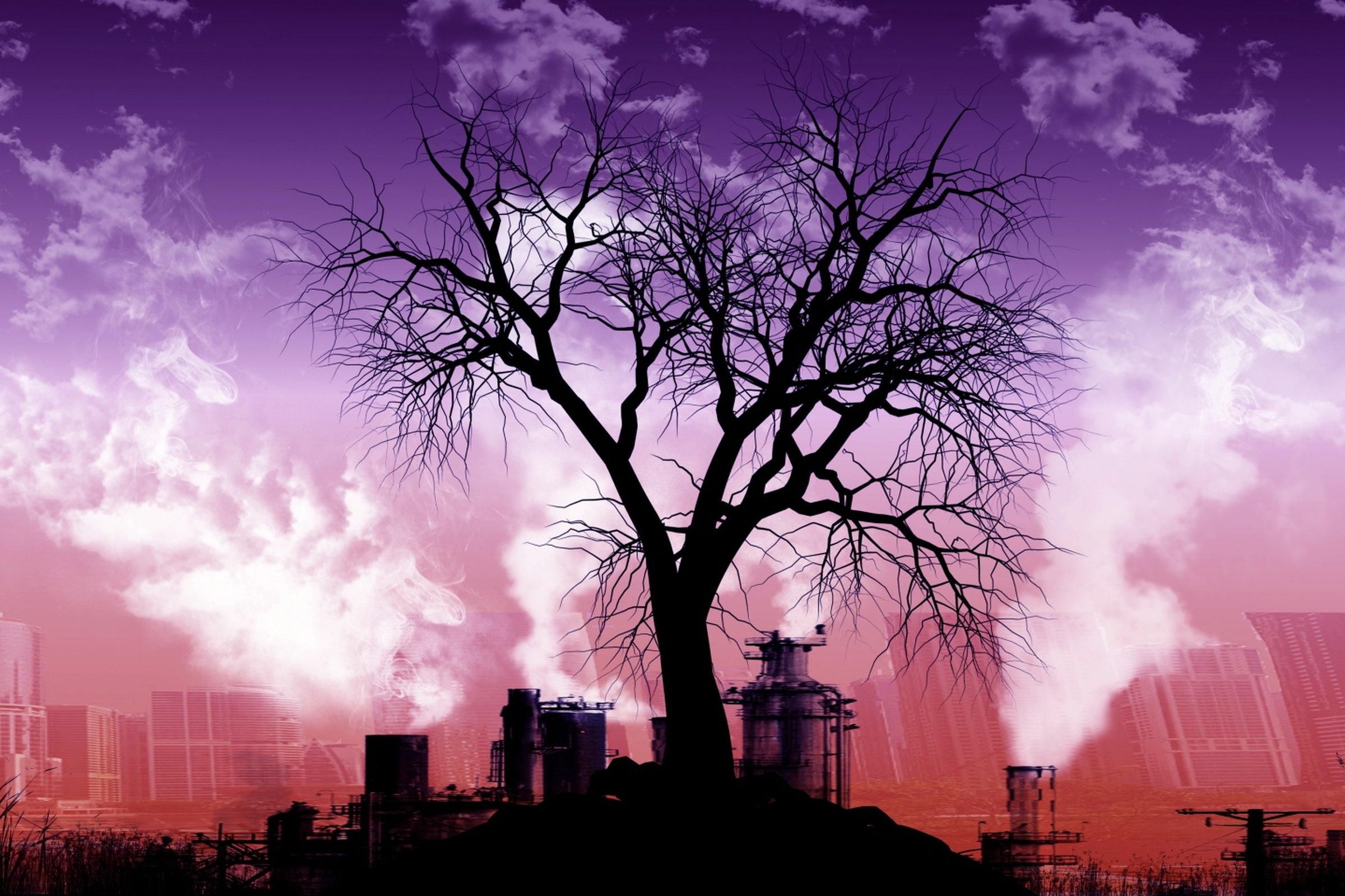 Human Flourishing And The Environment